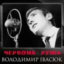 Червона рута — Володимир Івасюк Обкладинка пісні «Червона рута» — Володимир Івасюк