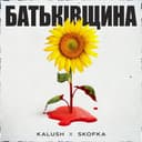 Батьківщина — Kalush Обкладинка пісні «Батьківщина» — Kalush